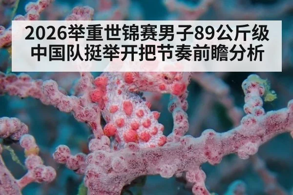 2026举重世锦赛男子89公斤级中国队挺举开把节奏前瞻分析