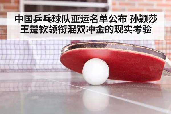 ping pong match